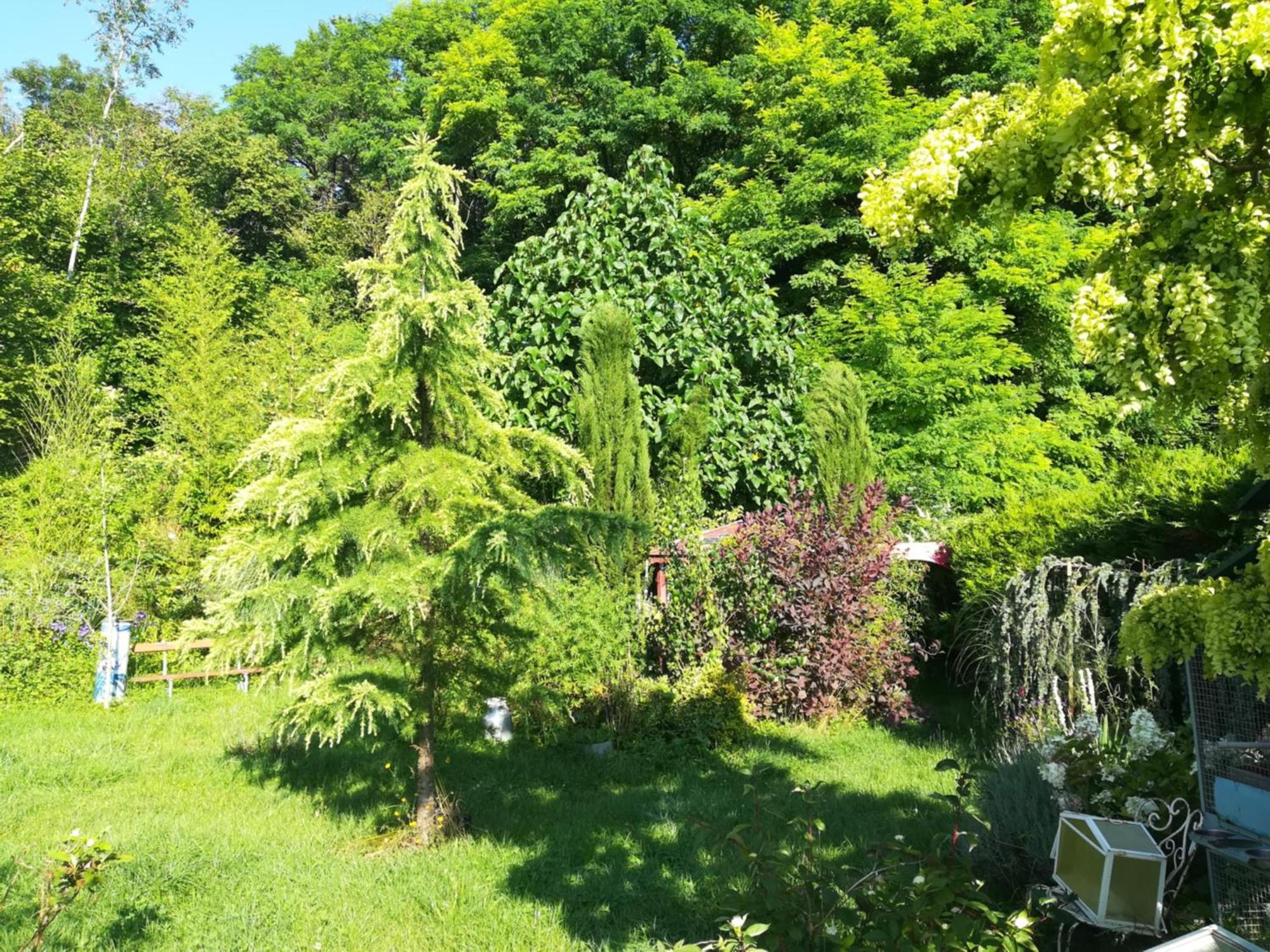 Privatunterkunft Apiculteur Loue 2 Dans Cadre Verdoyant Pagny-sur-Meuse